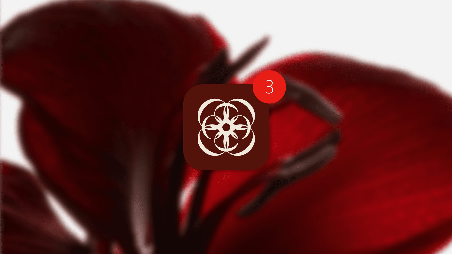brand identity app design for a menopause app